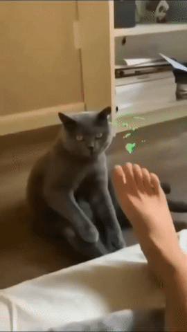 2726647fc13bae7bcebf382f63ae2f61_1631612442_0243.gif
