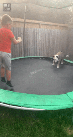667f376c8d1110009be219650a85c76d_1631336330_3882.gif