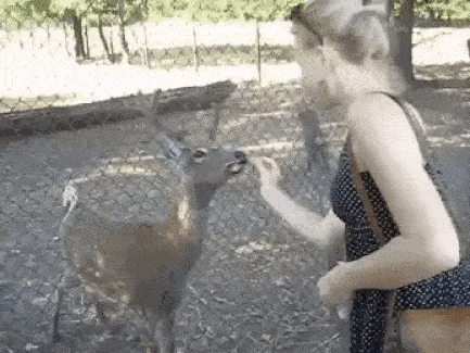 8665cba8880cf4d030e7aa76ed56cc92_1632593553_4139.gif