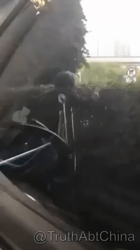 87df5ee47e948c6b656f62252b1d9a52_1631643921_1765.gif