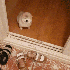 a8be54e4d5d1e5b43174ac79c5fd46f4_1632948131_4901.gif