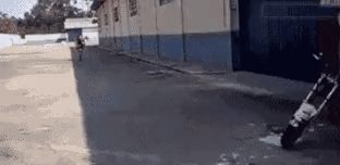a975e747a8826f9b4695cfd5e7f88d74_1631008359_2713.gif