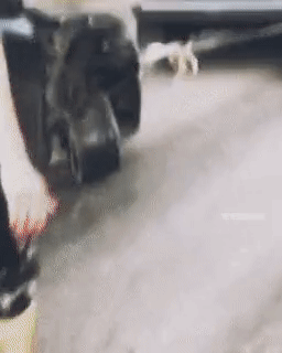 ee1dae3ddb92d00162d2ebf6e5bcfda8_1632169901_8905.gif