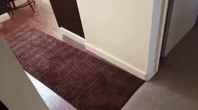 c92534707c246244242c2bb3221a14c2_1633383621_328.gif