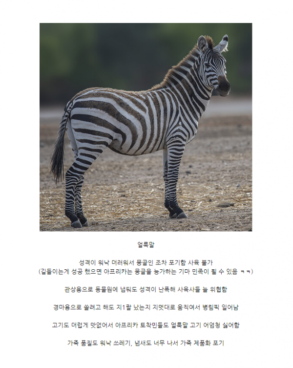 4d26e187b889d03857334d1ab1386a54_1653110245_4626.png