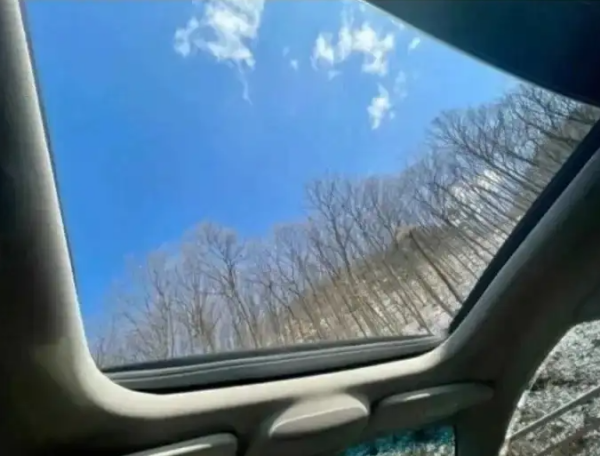 20a0f9de84b7a66077c8228d77977746_1781146801_1931.png