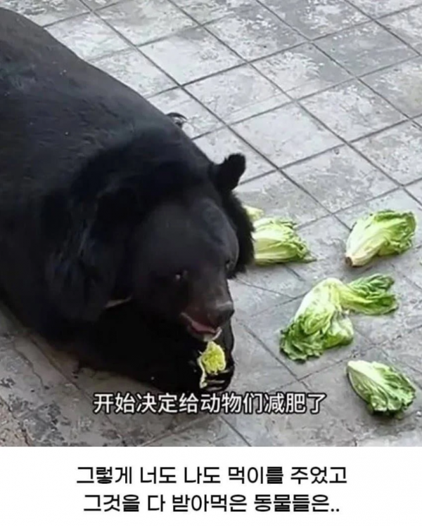 bcdfb869e966c7f779ed31414495665c_1786584120_6746.png