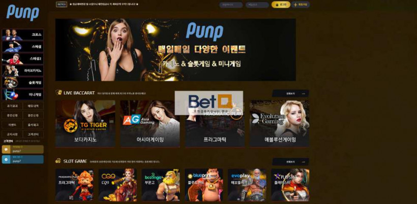 펀프 PUNP 먹튀확정 먹튀사이트 토토먹튀 주소 토토 카지노