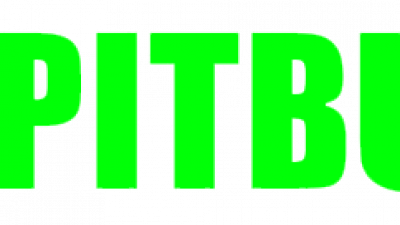 [토토사이트] 핏불 (PITBULL) 먹튀정보