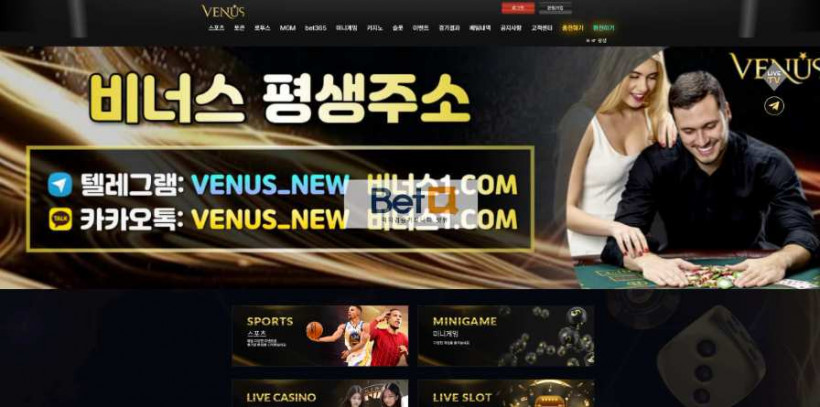 비너스 VENUS 먹튀검증 주소 가입코드 추천인 도메인 토토 꽁머니
