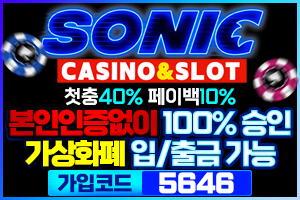 소닉 SONIC