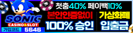 소닉